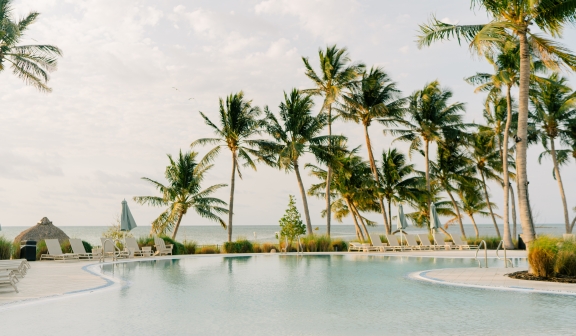 palm trees by pool at Amara Cay Resort